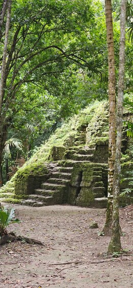 Picture 43 for Activity Impressive Tikal from Flores with Lunch 2