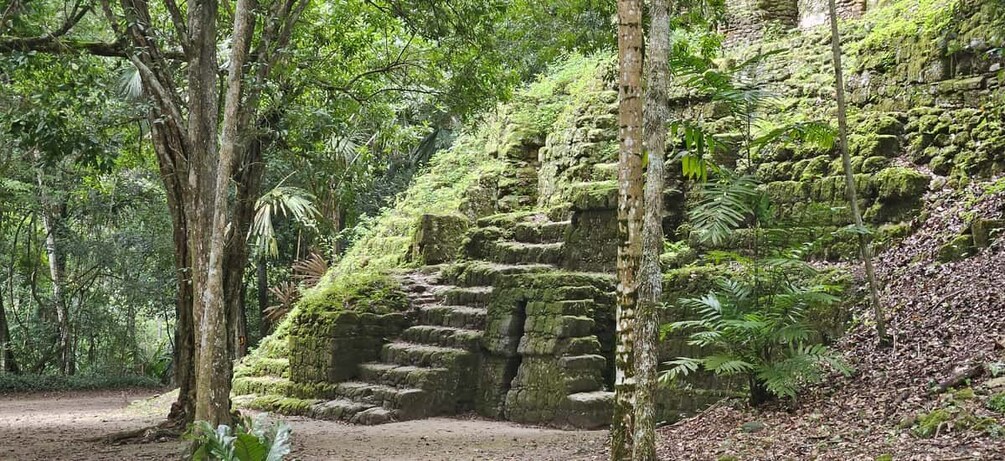Picture 36 for Activity Impressive Tikal from Flores with Lunch 5