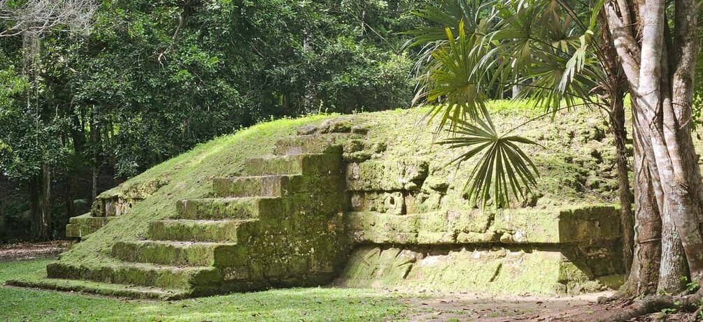 Picture 42 for Activity Impressive Tikal from Flores with Lunch 3