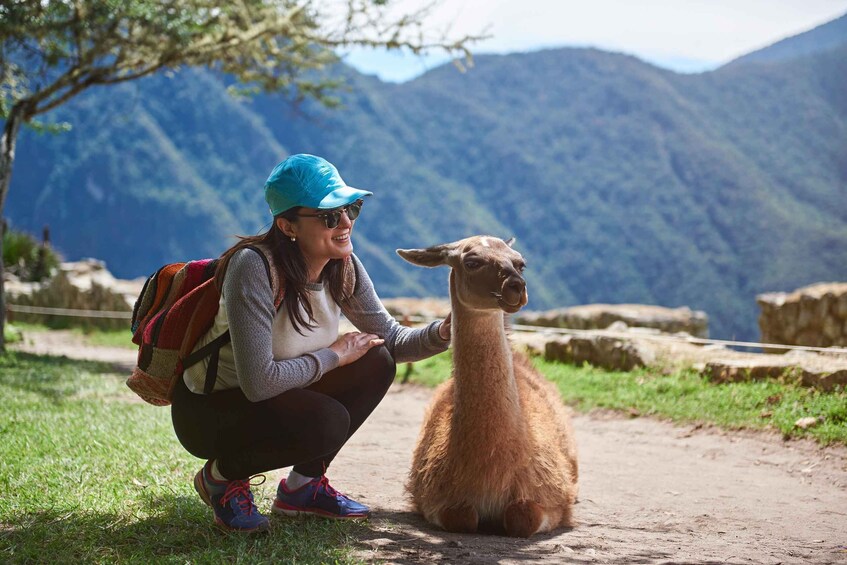 NEW *Machupicchu Entrance Ticket, Bus & Expert Guide 3