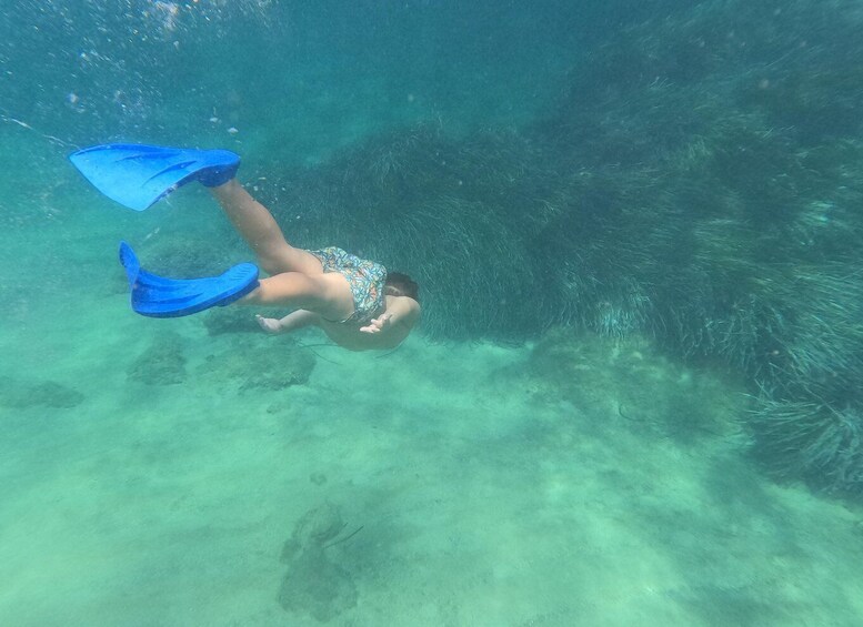 A person snorkeling underwater with blue fins. 4