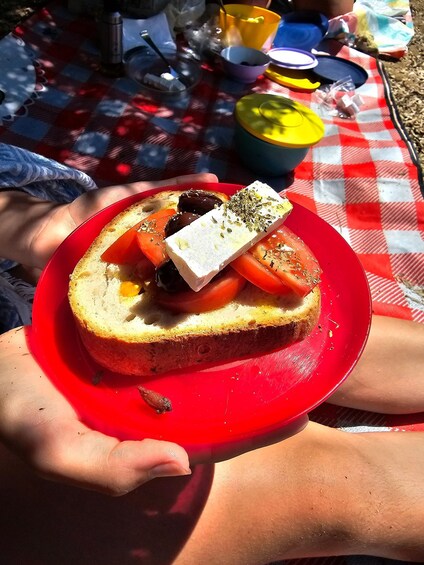 A red plate with a sandwich on a checkered tablecloth. 5