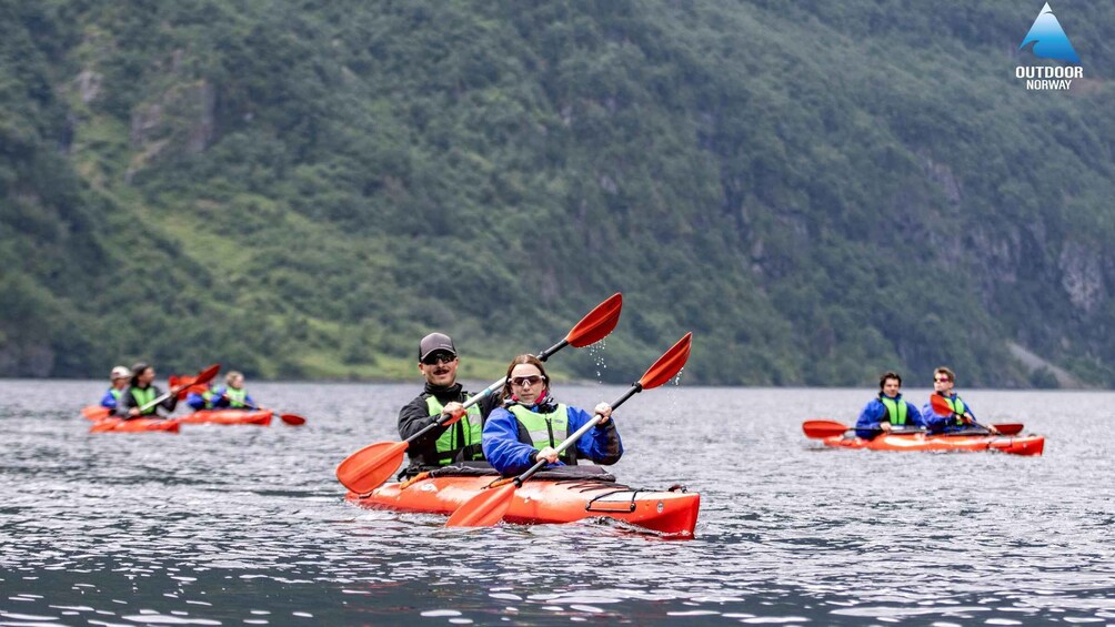 Picture 5 for Activity Vossevangen: Nærøyfjord Full-Day Guided Kayaking Trip 5