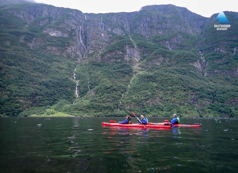 Picture 10 for Activity Vossevangen: Nærøyfjord Full-Day Guided Kayaking Trip 3