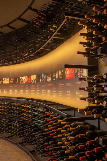 Santiago: New Concha y Toro Winery Experience Tour 1