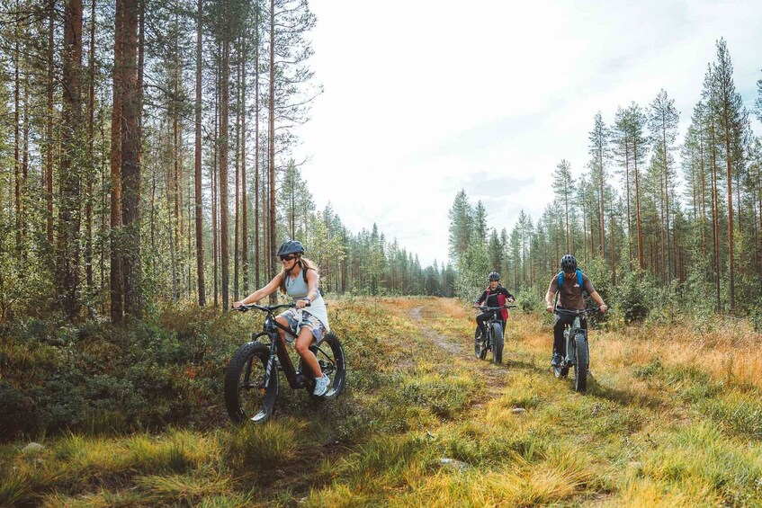 Three people riding mountain bikes on a forest trail. 3