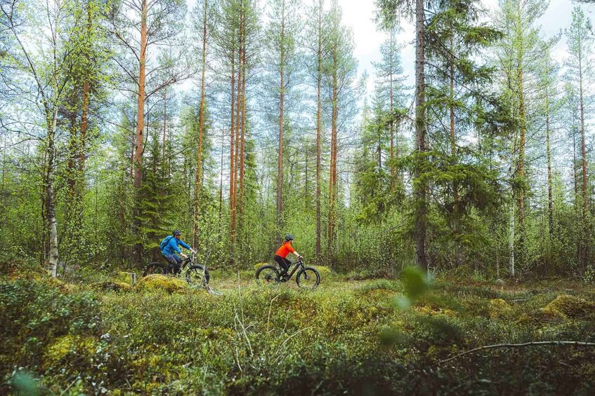 Two cyclists in a forested area with dense trees and underbrush. 5