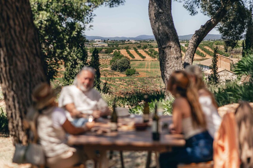 A group of people dining outdoors with a vineyard in the background. 3