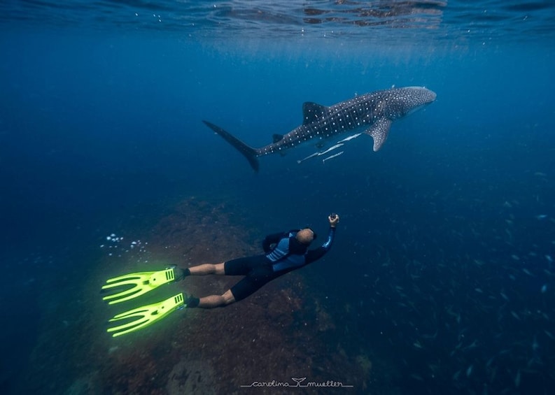 Muscat: Daymaniyat Islands Snorkeling Trip + BBQ-style meal 1