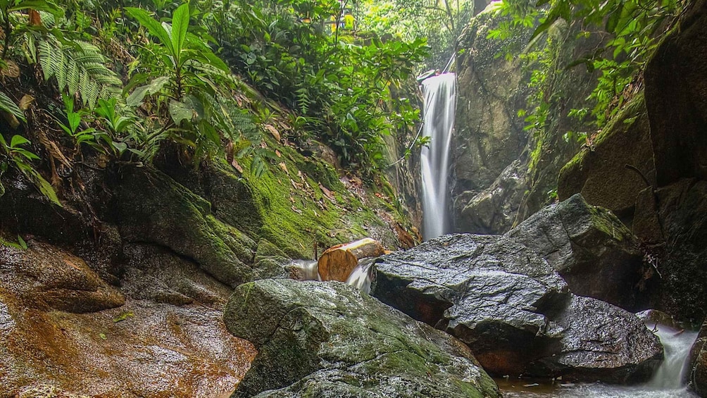 A waterfall in a forested area with large rocks and lush greenery. 1