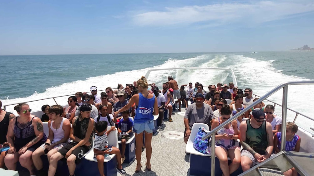 Picture 22 for Activity Ocean City, MD: Coastal Speedboat Tour with Dolphin Spotting 3