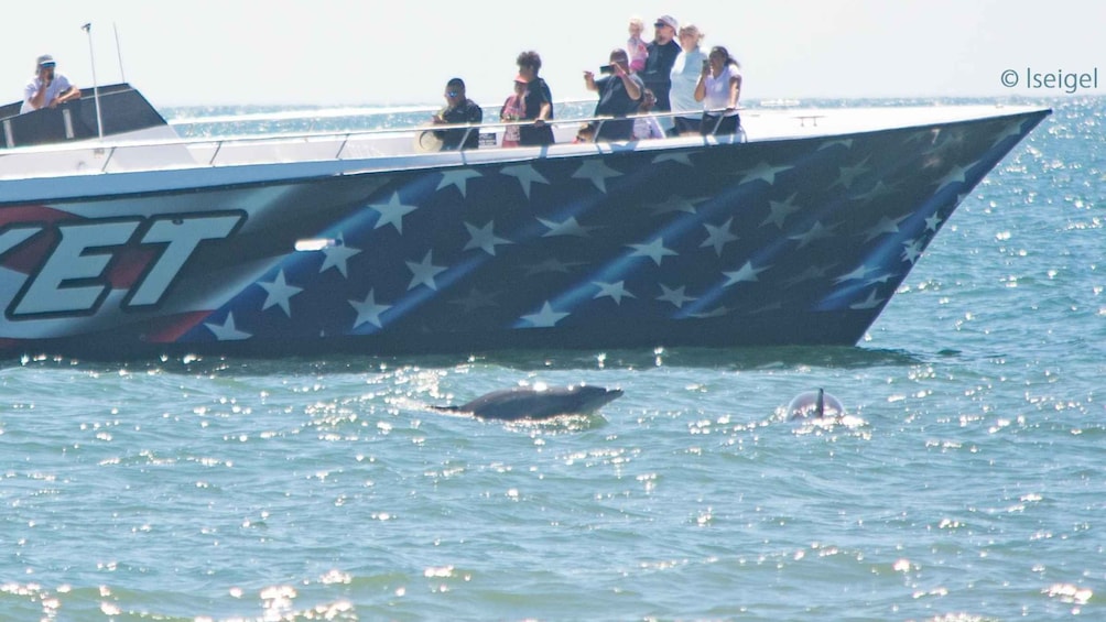 Picture 29 for Activity Ocean City, MD: Coastal Speedboat Tour with Dolphin Spotting 2