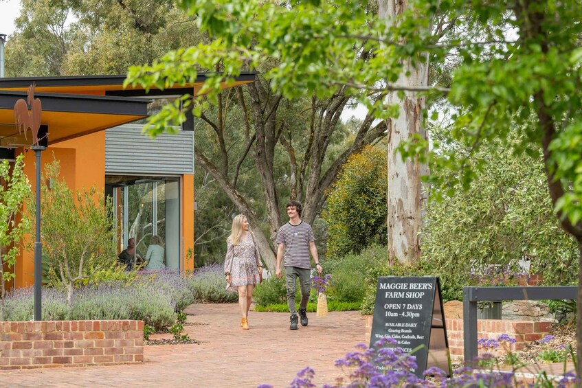 Picture 7 for Activity Maggie Beer's Farm Hands-on Cooking School and Lunch