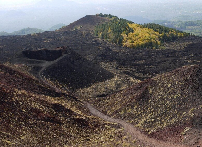 Picture 5 for Activity From Catania: Etna tour by Panoramic Bus 4