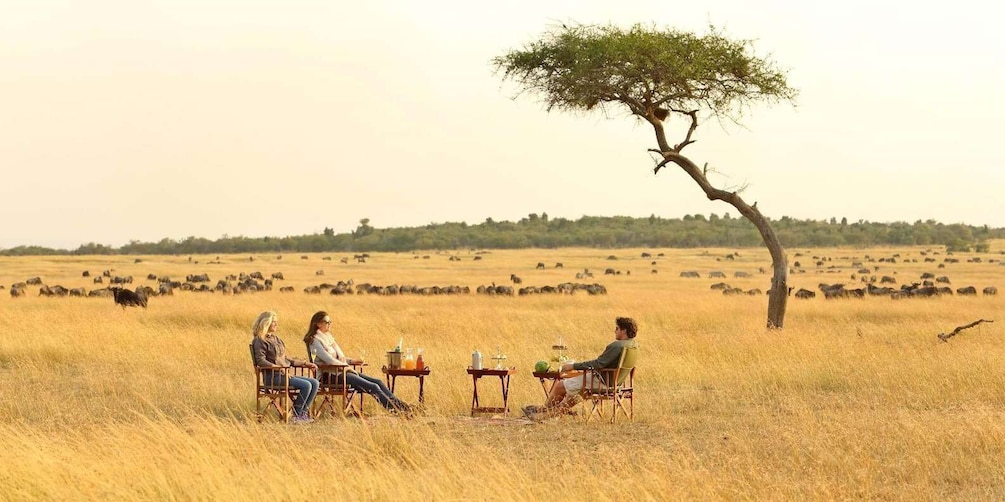 Four people sitting at a table in a field with a tree and a herd of animals in the background. 5