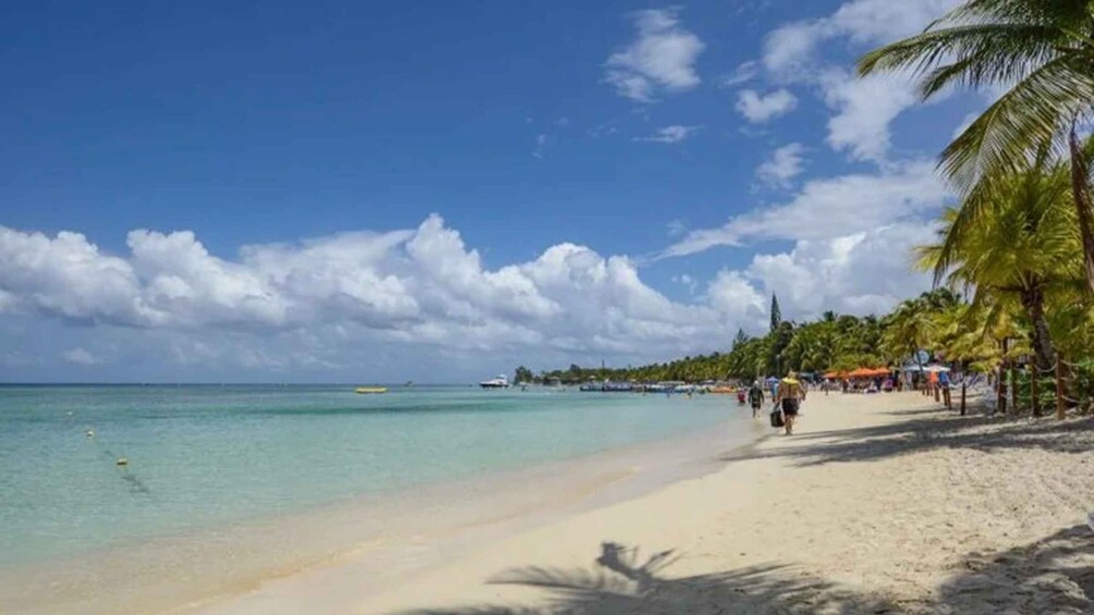 A beach with clear turquoise water, palm trees, and a few people walking. 5