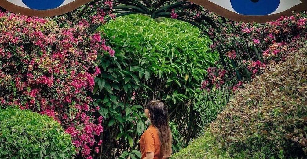 A person walking through a garden with pink flowers and green foliage. 2