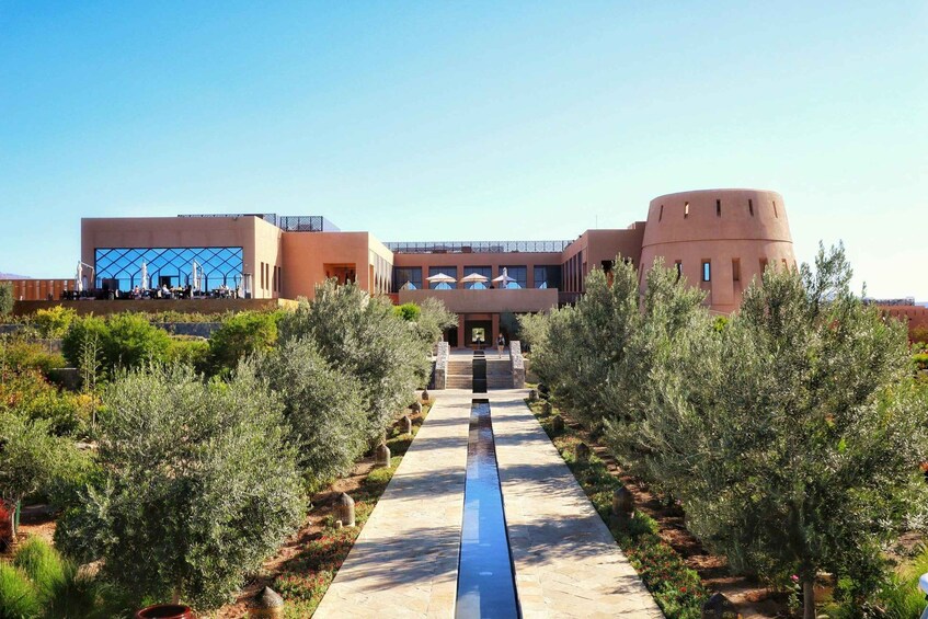 A modern building with a central pathway flanked by olive trees. 4