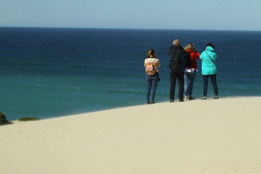 A group of people standing on a sandy beach, looking out at the ocean. 4