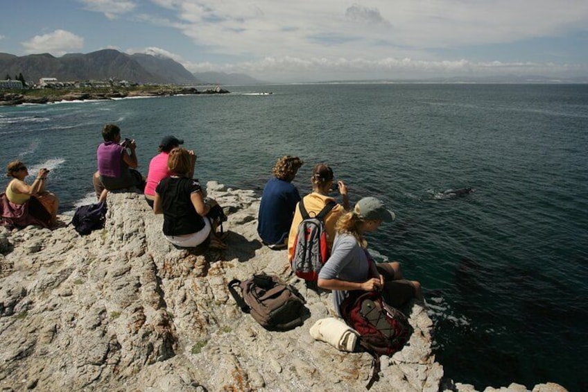 A group of people sitting on a rocky shore by the sea, with mountains in the background. 2