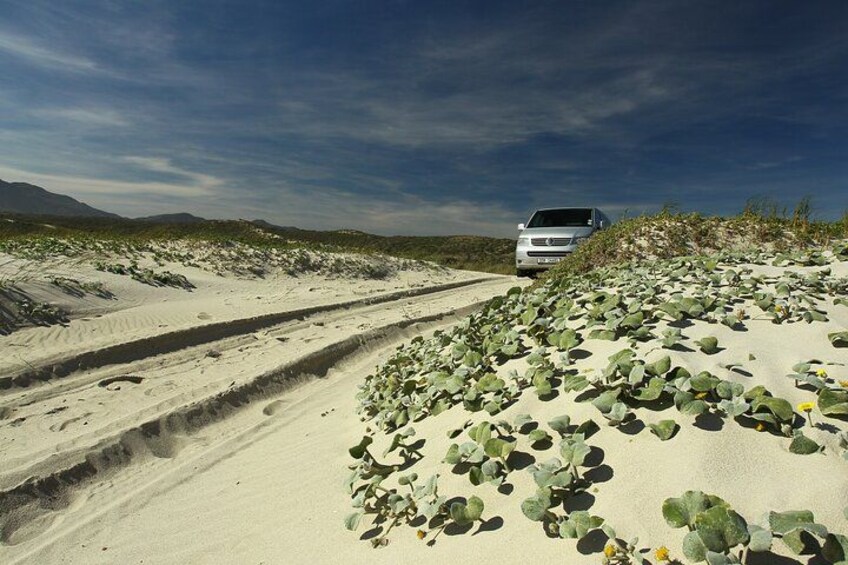 A vehicle on a sandy road with sparse vegetation and a clear sky. 3