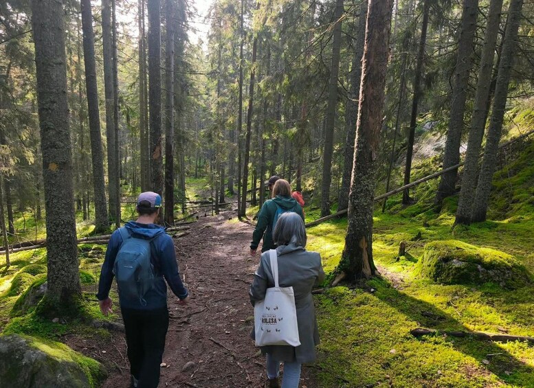 Picture 25 for Activity From Helsinki: Nuuksio National Park Hiking Tour with Food 2