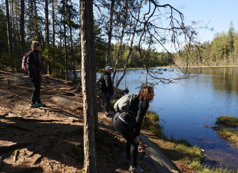 Picture 16 for Activity From Helsinki: Nuuksio National Park Hiking Tour with Food