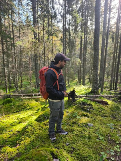 Picture 19 for Activity From Helsinki: Nuuksio National Park Hiking Tour with Food 4