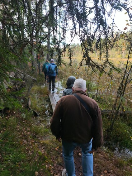 Picture 23 for Activity From Helsinki: Nuuksio National Park Hiking Tour with Food 3