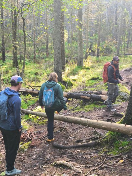 Picture 37 for Activity From Helsinki: Nuuksio National Park Hiking Tour with Food 5