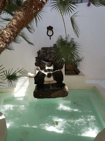 Picture 7 for Activity Lanzarote: LagOmar and Teguise Market 2