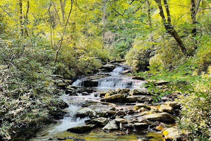 Smoky Mountains Newfound Gap Jeep Tour 2