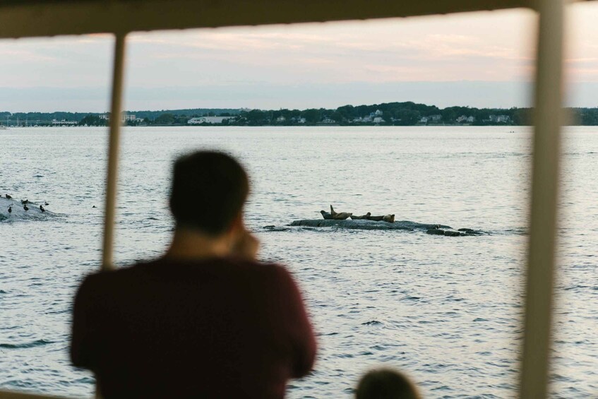 Picture 11 for Activity Portland: Casco Bay Sunset and Lighthouse Cruise 5