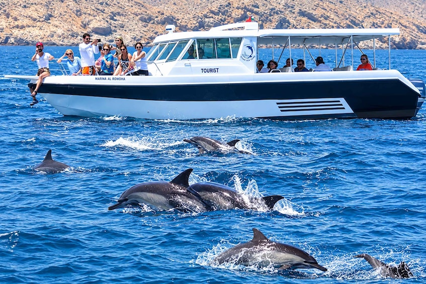 Muscat Dolphin Watching & Coastal Sightseeing Tour 1