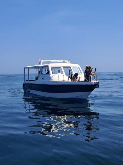 Picture 10 for Activity Muscat Dolphin Watching & Coastal Sightseeing Tour 3