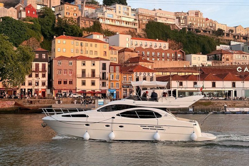 Porto: Private Yacht Cruise with Local Wine, Snacks and 6 Bridges 2