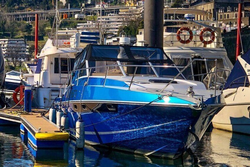 A marina with boats docked, a lifebuoy, and a cityscape in the background. 5
