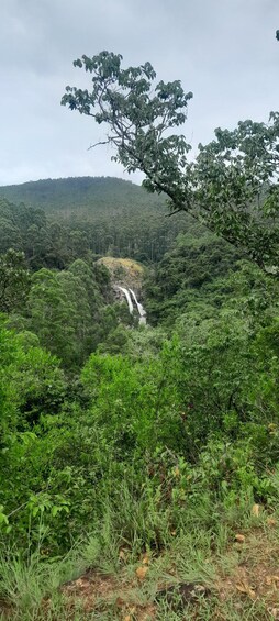 Picture 14 for Activity From Maputo: Eswatini Culture, Dance & Waterfall Trip 4