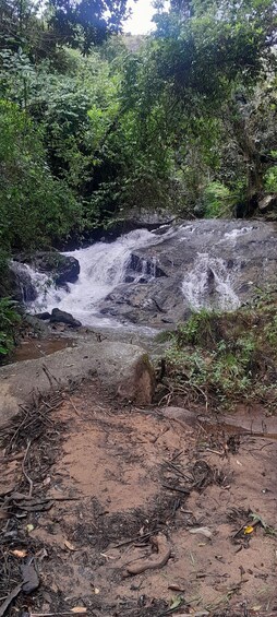 Picture 17 for Activity From Maputo: Eswatini Culture, Dance & Waterfall Trip 5