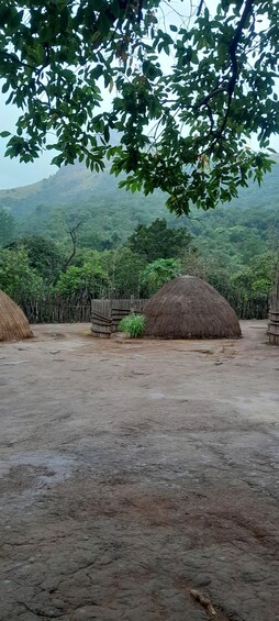 Picture 9 for Activity From Maputo: Eswatini Culture, Dance & Waterfall Trip 3