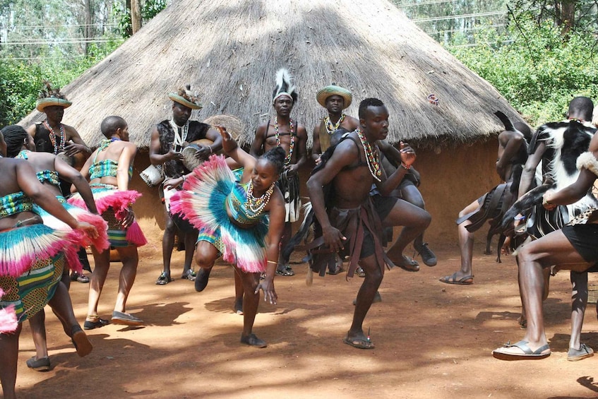 A group of people performing a traditional dance in front of a thatched hut. 3