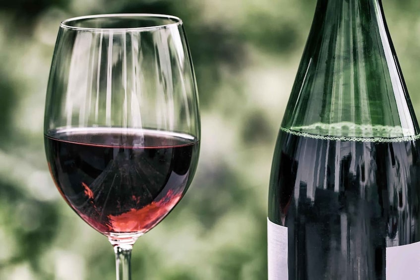 Ett vinglas fyllt med rött vin och en grön vinflaska. 5