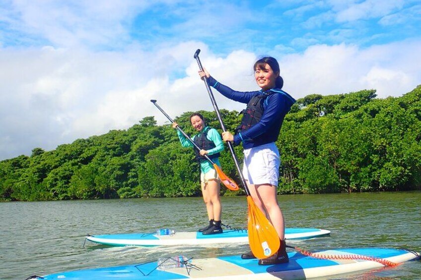 Ishigaki Mangrove SUP or Canoeing and Phantom Island Snorkeling 2