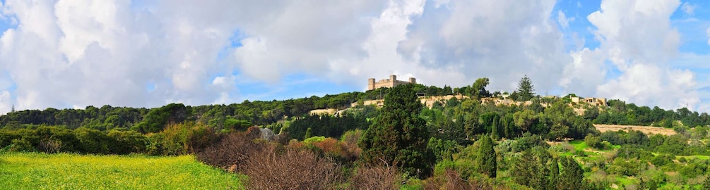 Picture 13 for Activity Buskett Woodlands and Dingli Cliffs Private Nature Tour 2