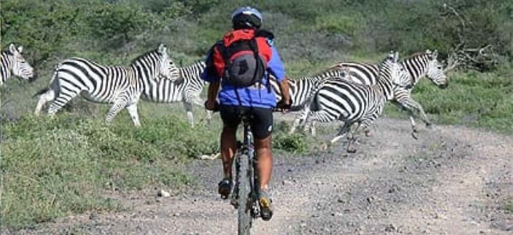 Picture 17 for Activity 𝐇ell's Gate With Boat Ride In Lake Naivasha Day Tour 2