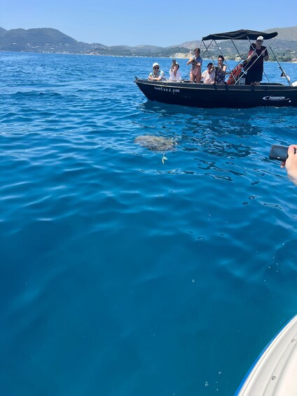 Picture 3 for Activity Turtle spotting in Laganas 2