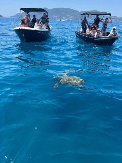 Two boats with people on them, a sea turtle swimming in the water, and a mountainous landscape in the background. 5