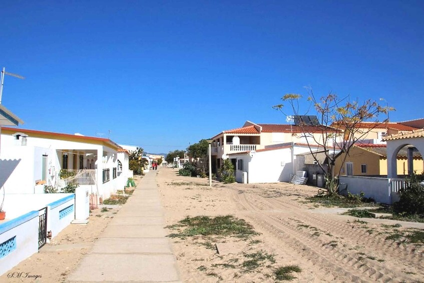 A quiet residential street with houses, a sandy path, and clear blue skies. 2