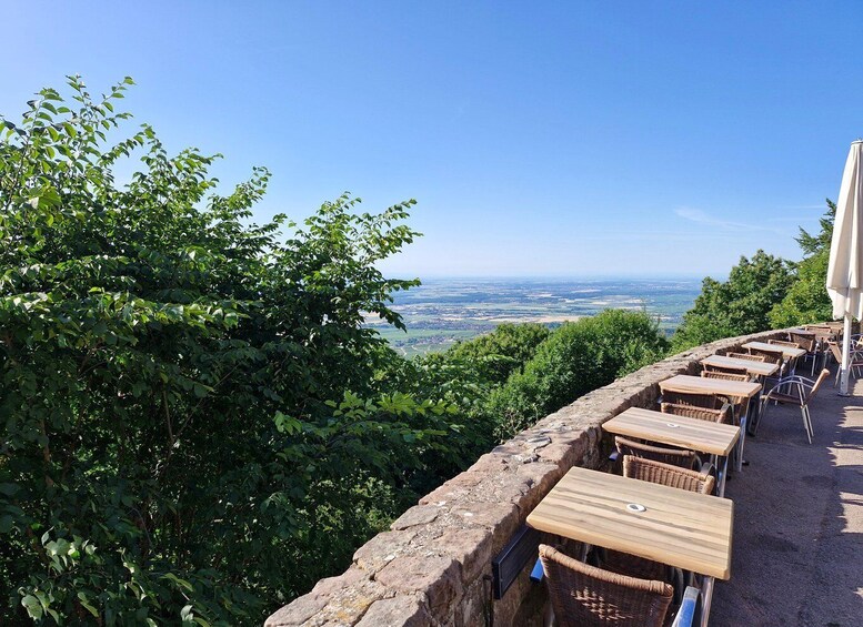 Picture 6 for Activity From Colmar: Haut-Koenigsbourg Castle & Alsace Wine Route 5