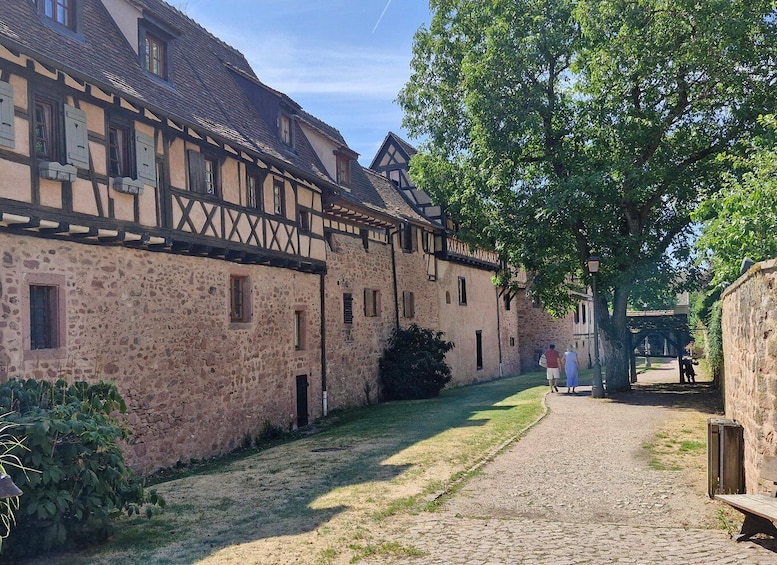 Picture 12 for Activity From Colmar: Haut-Koenigsbourg Castle & Alsace Wine Route 2